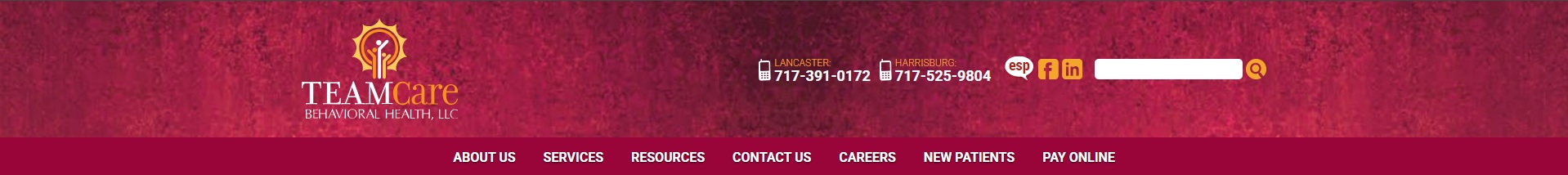 TEAMCare Behavioral Health LLC