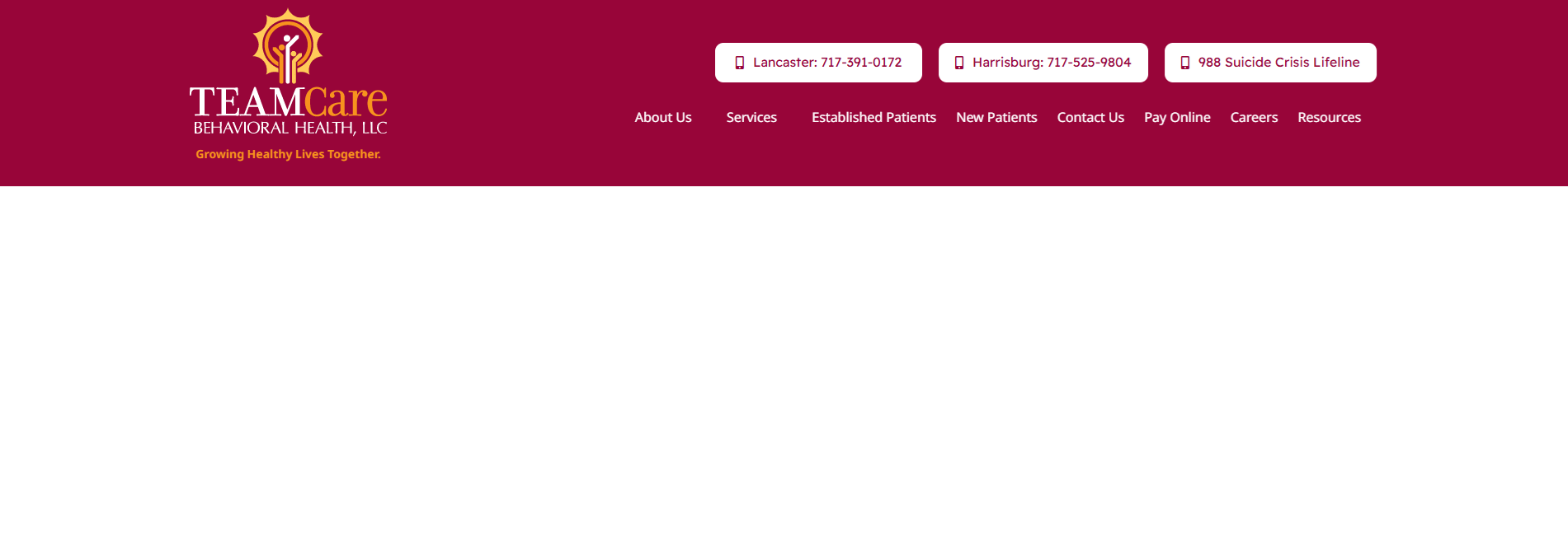 TEAMCare Behavioral Health LLC